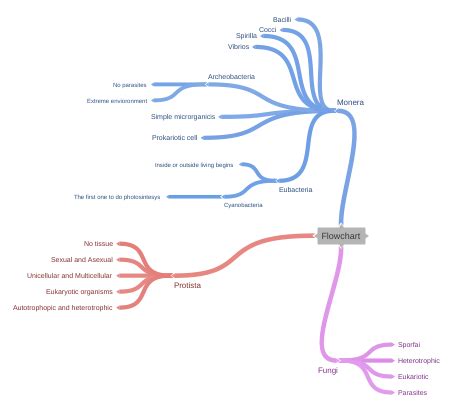 coggle flowchart.